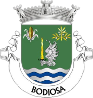 logo-bodiosa-footer-02